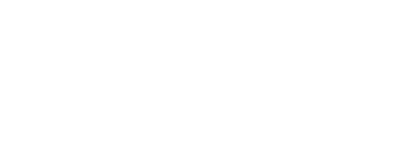 Digital Fin Serve Pvt Ltd